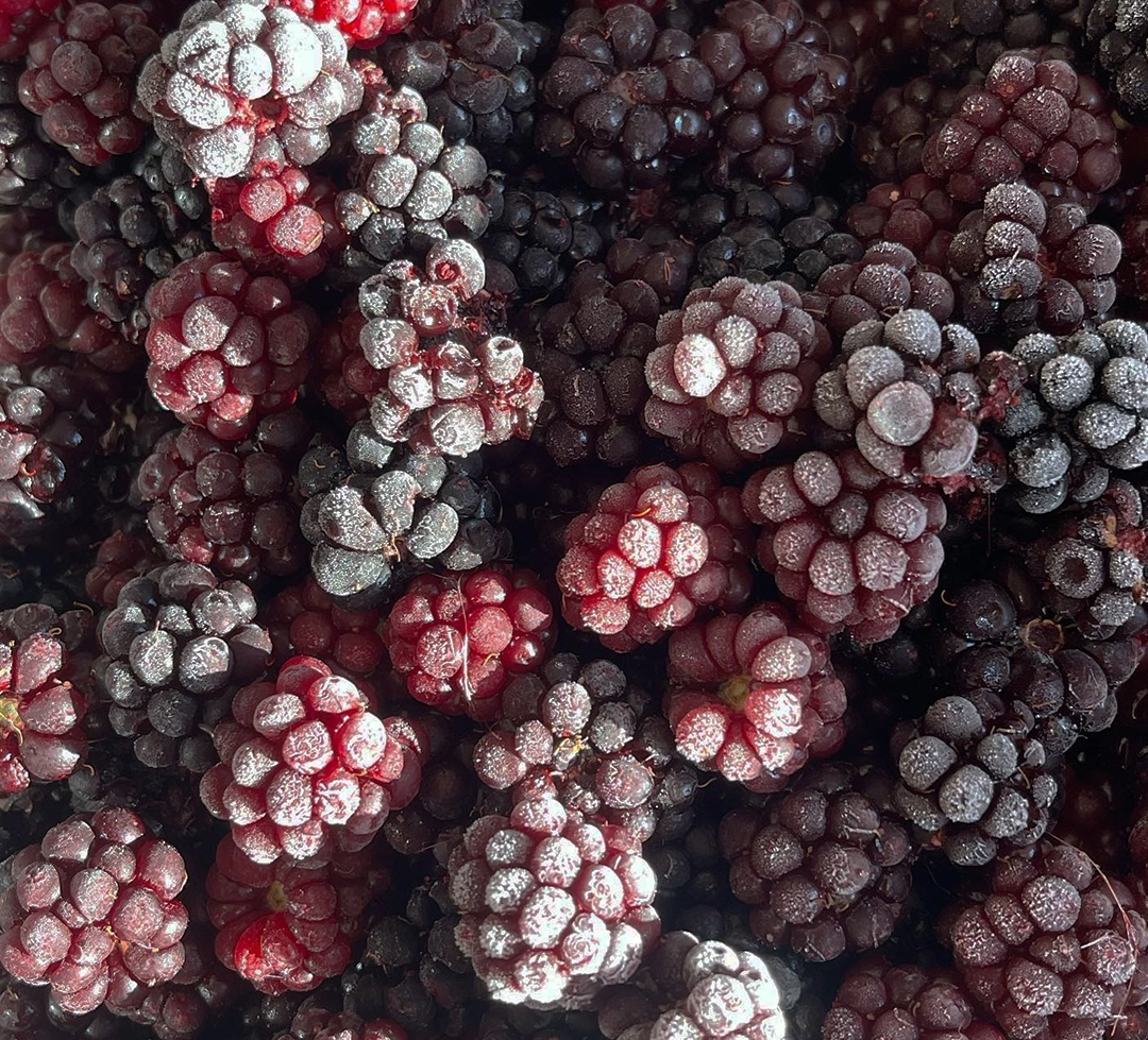 Overnatning Ærø, Bed and breakfast